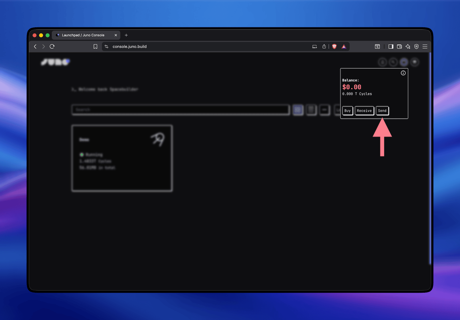 A screenshot of the wallet with the "Send" button